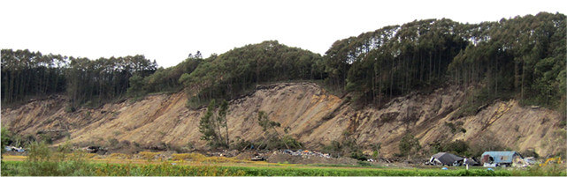 【写真-1】北海道胆振地震で発生した表層すべり